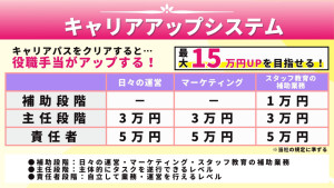 3.キャリアアップシステム_実績